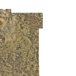 ArcGIS Web Application